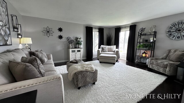 living area with baseboards and wood finished floors
