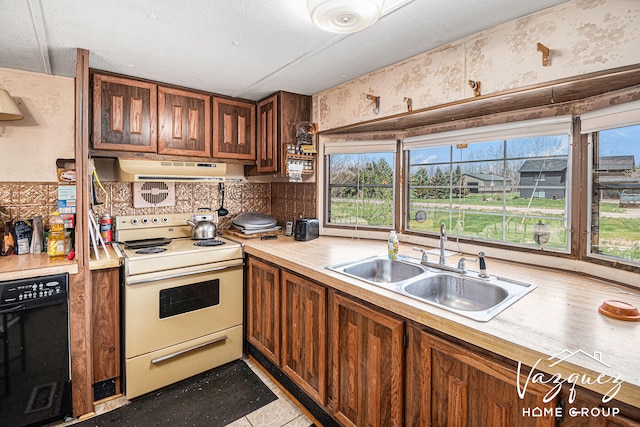 12480 Fargo St NE, Gowen, MI 49326 - kitchen with a sink, light countertops, white electric range oven, and a wealth of natural light