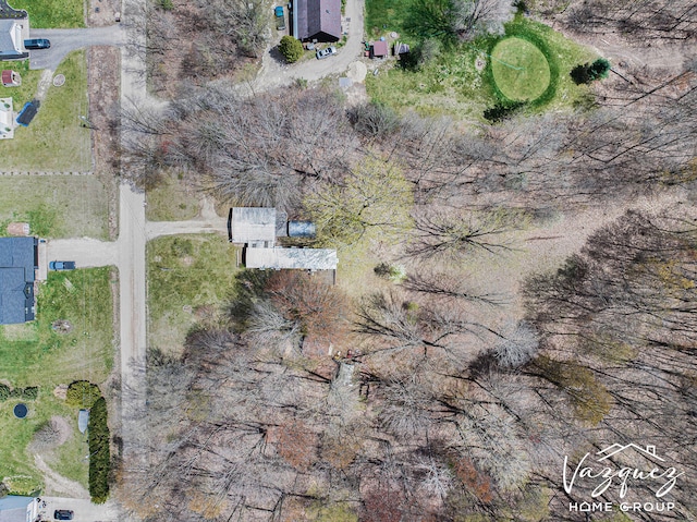 12480 Fargo St NE, Gowen, MI 49326 - birds eye view of property