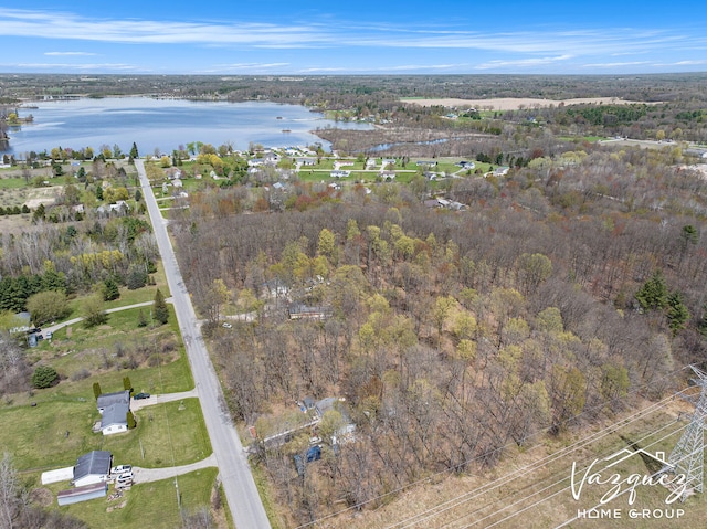 12480 Fargo St NE, Gowen, MI 49326 - birds eye view of property with a water view and a forest view