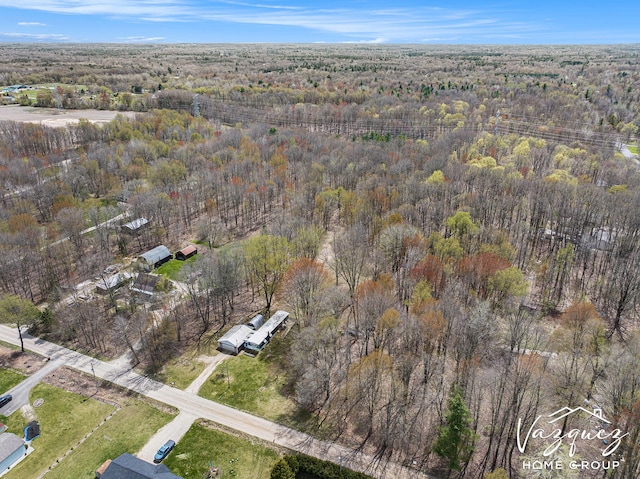12480 Fargo St NE, Gowen, MI 49326 - aerial view featuring a view of trees