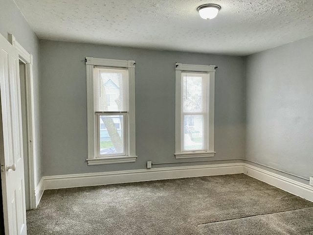 spare room with carpet flooring, a textured ceiling, and a healthy amount of sunlight