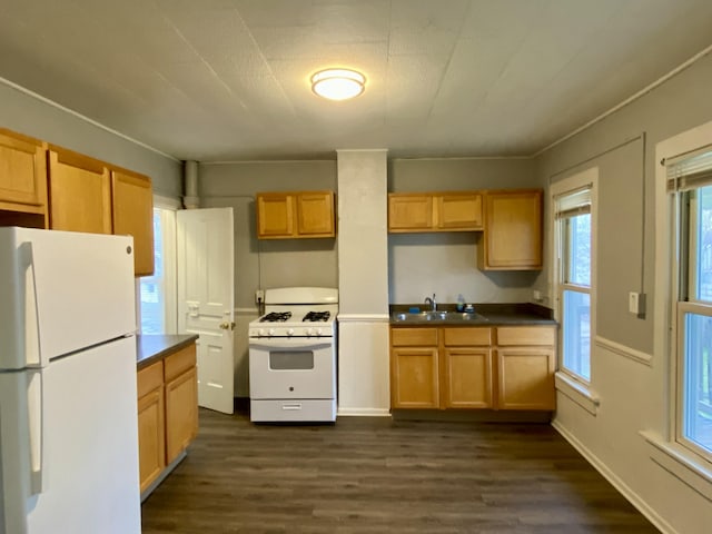 kitchen featuring white appliances, dark countertops, a sink, and dark wood-type flooring