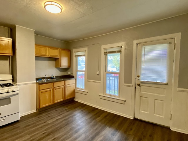 kitchen featuring dark countertops, white range with gas stovetop, dark wood-type flooring, a wainscoted wall, and a sink