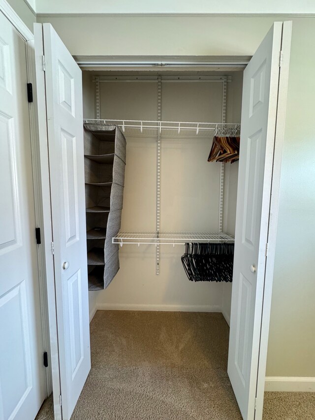 view of closet