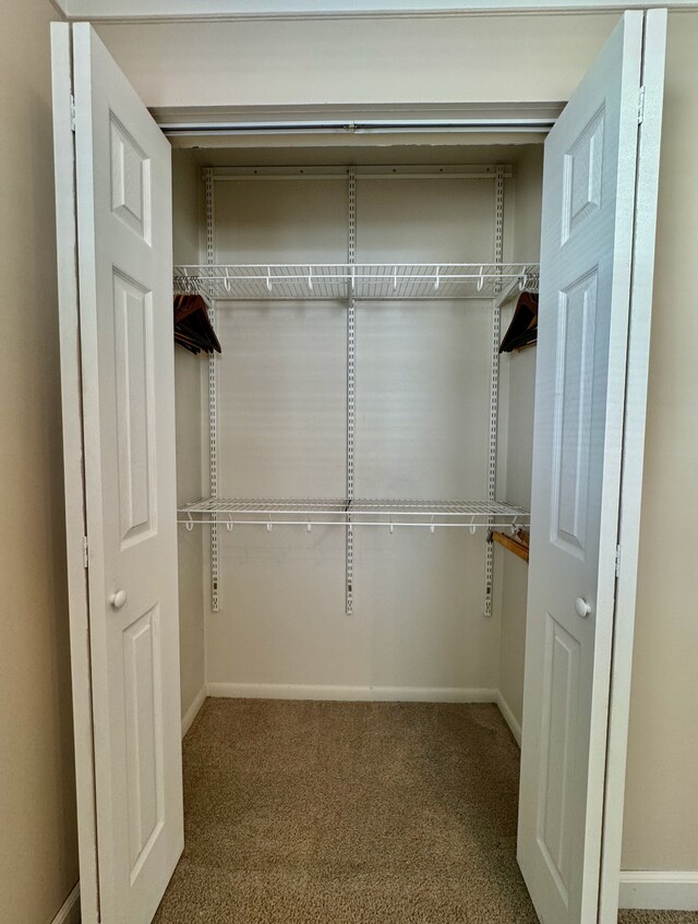view of closet