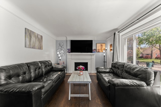 1111 N Franklin St, Dearborn, MI 48128 - living area with a fireplace and dark wood finished floors