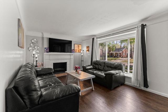 1111 N Franklin St, Dearborn, MI 48128 - living area featuring baseboards, wood finished floors, and a fireplace