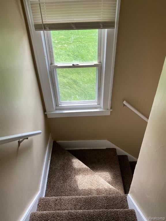 stairway with carpet floors