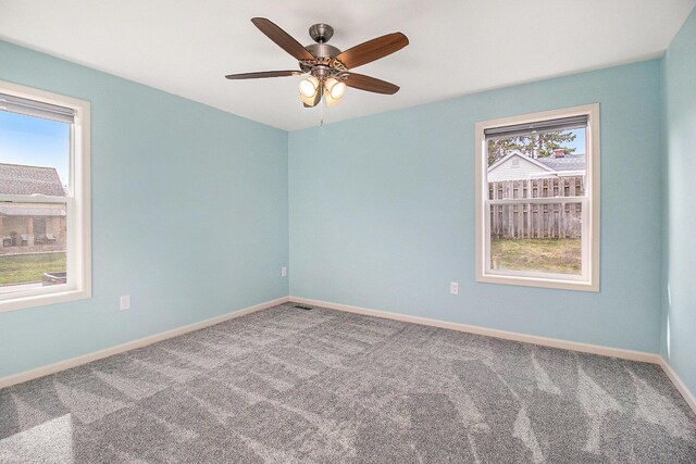 empty room with baseboards, carpet, and a wealth of natural light