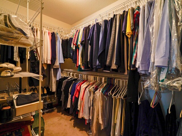 spacious closet with carpet