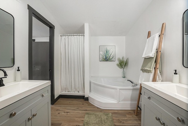 1499 N Apple Dr, White Cloud, MI 49349 - bathroom featuring a sink, two vanities, a shower stall, wood finished floors, and a bath
