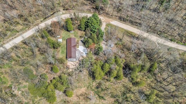 1499 N Apple Dr, White Cloud, MI 49349 - bird's eye view