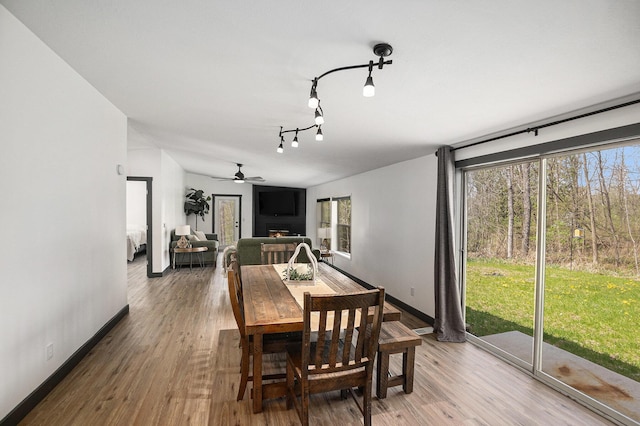 1499 N Apple Dr, White Cloud, MI 49349 - dining area featuring baseboards, a lit fireplace, wood finished floors, and a wealth of natural light