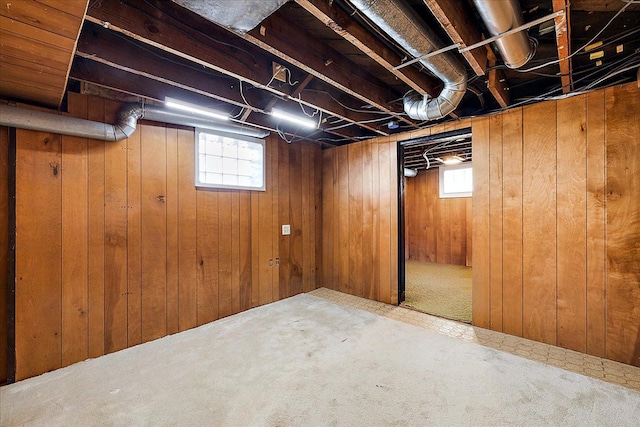 below grade area with wood walls and carpet