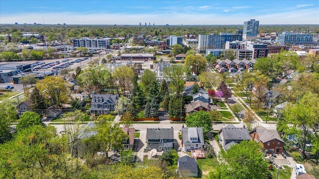 drone / aerial view