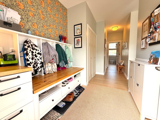 mudroom with baseboards and light colored carpet