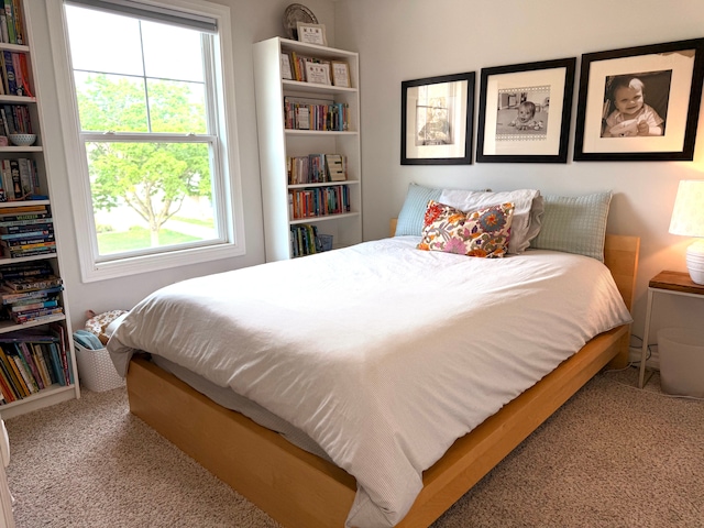 bedroom with carpet