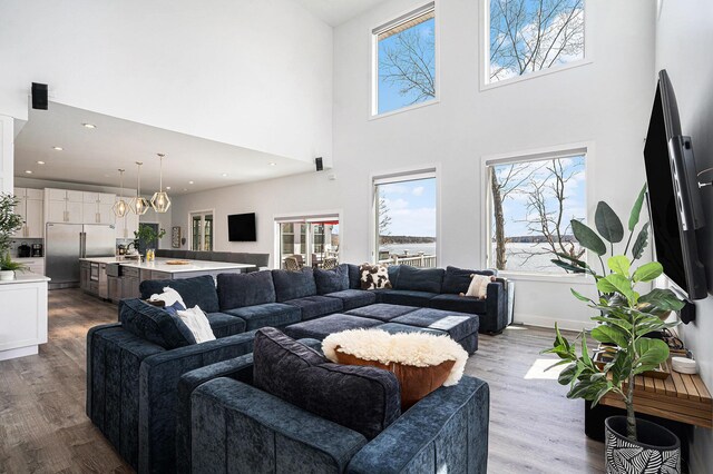 living room with plenty of natural light, wood finished floors, and a towering ceiling