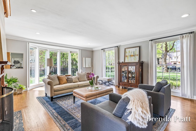 living area with ornamental molding, recessed lighting, and wood finished floors