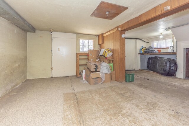 below grade area featuring carpet