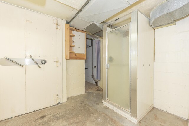 view of unfinished basement