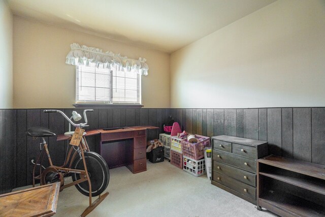 interior space featuring carpet, wainscoting, and wood walls