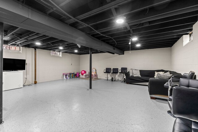 finished basement with concrete block wall