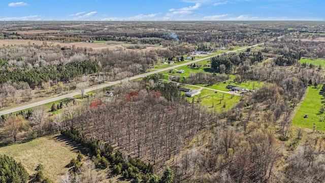 5355 W Remus Rd, Mount Pleasant, MI 48858 - drone / aerial view