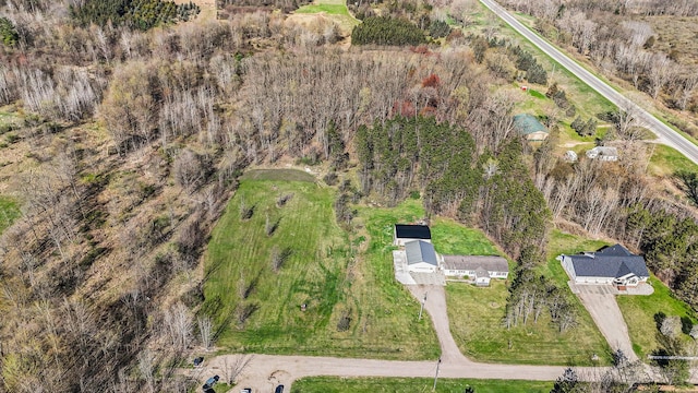 5355 W Remus Rd, Mount Pleasant, MI 48858 - drone / aerial view