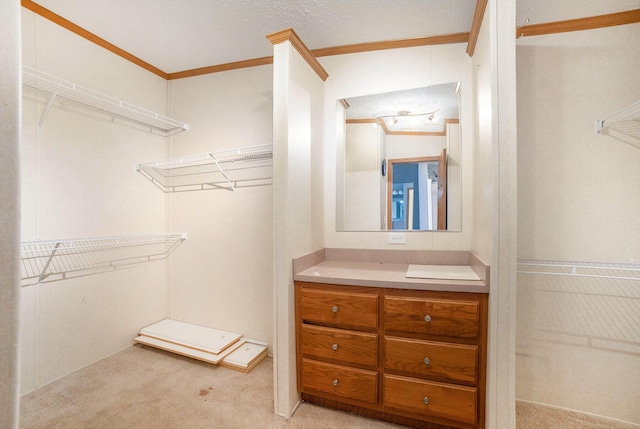 5355 W Remus Rd, Mount Pleasant, MI 48858 - walk in closet featuring light colored carpet