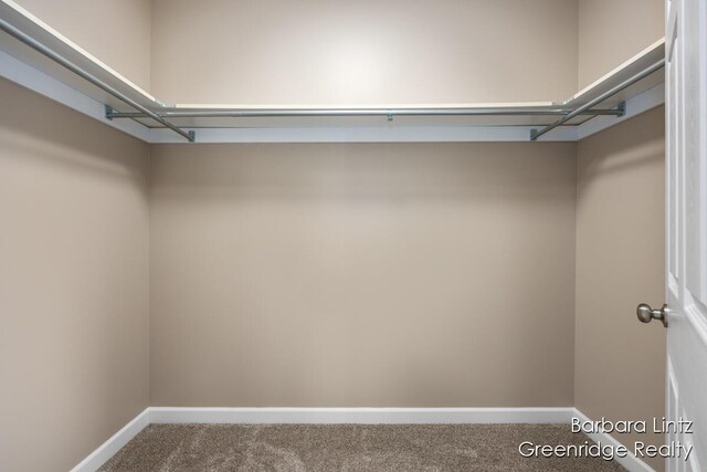 walk in closet with carpet