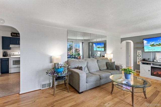 5304 E Frances Rd, Mount Morris, MI 48458 - living room with arched walkways, light wood-style floors, and a glass covered fireplace