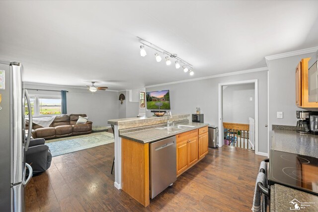 kitchen featuring crown molding, ceiling fan, appliances with stainless steel finishes, a sink, and open floor plan