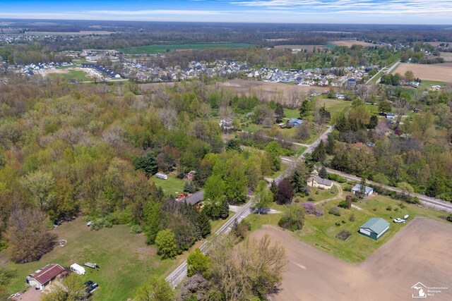 drone / aerial view