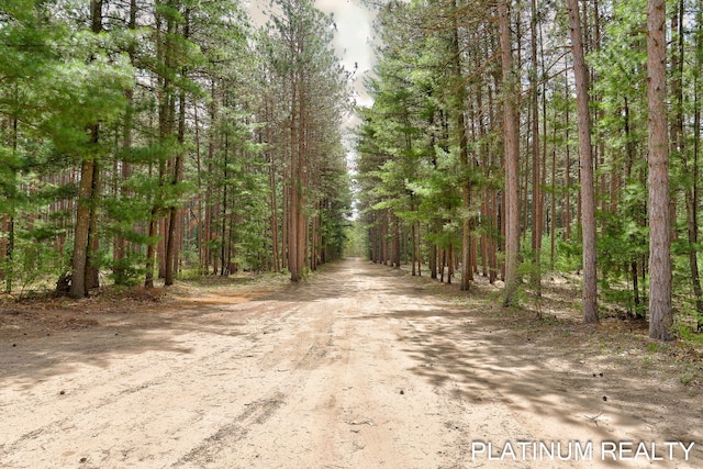 4334 Brunswick Rd, Holton, MI 49425 - view of dirt / gravel road featuring a wooded view