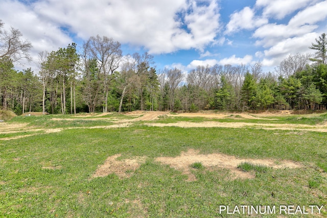 4334 Brunswick Rd, Holton, MI 49425 - view of green lawn