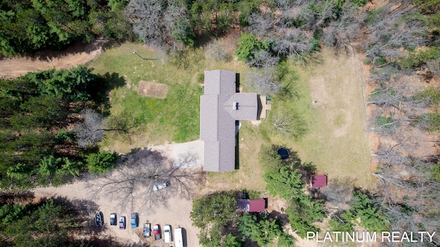 4334 Brunswick Rd, Holton, MI 49425 - aerial view of property's location