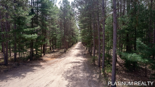 4334 Brunswick Rd, Holton, MI 49425 - view of street featuring a view of trees