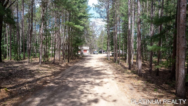 4334 Brunswick Rd, Holton, MI 49425 - view of dirt / gravel road