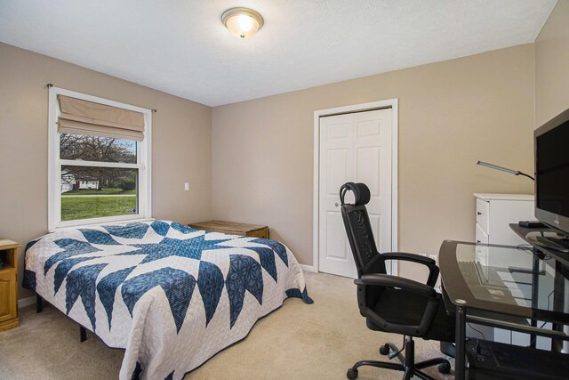 24260 Beacon Hill Ter, Mattawan, MI 49071 - bedroom with a closet, baseboards, and light carpet