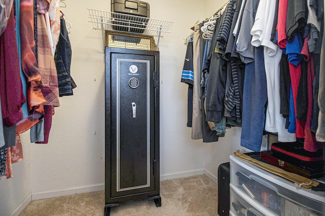 24260 Beacon Hill Ter, Mattawan, MI 49071 - walk in closet with carpet floors