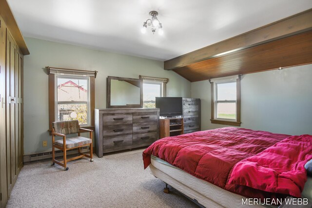 1376 24th St, Allegan, MI 49010 - photo 10