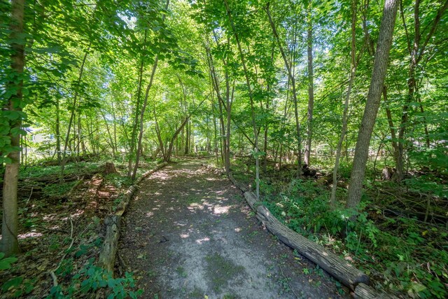 61412 Walnut St, Cassopolis, MI 49031 - view of street featuring a view of trees
