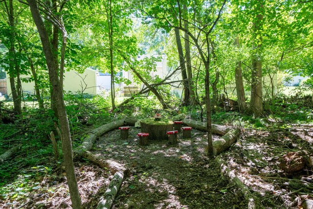 61412 Walnut St, Cassopolis, MI 49031 - view of local wilderness