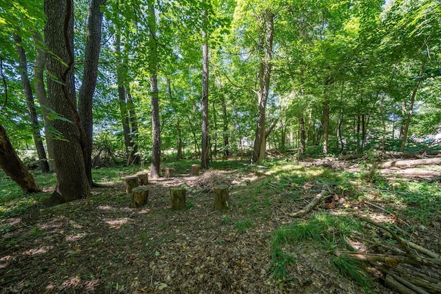 61412 Walnut St, Cassopolis, MI 49031 - view of local wilderness