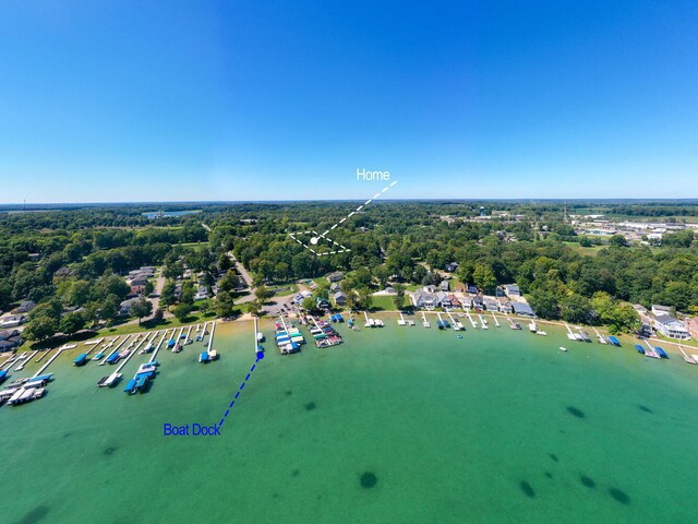 61412 Walnut St, Cassopolis, MI 49031 - drone / aerial view
