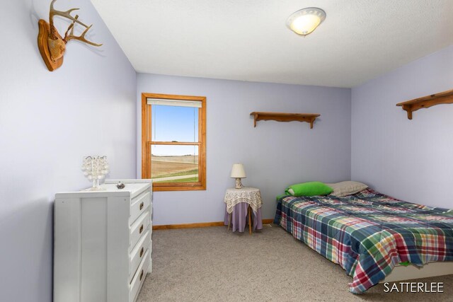 bedroom with baseboards and light carpet