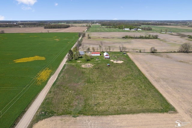 13280 Burt Rd, Pittsford, MI 49271 - birds eye view of property featuring a rural view