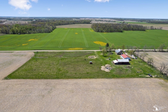 13280 Burt Rd, Pittsford, MI 49271 - bird's eye view with a rural view